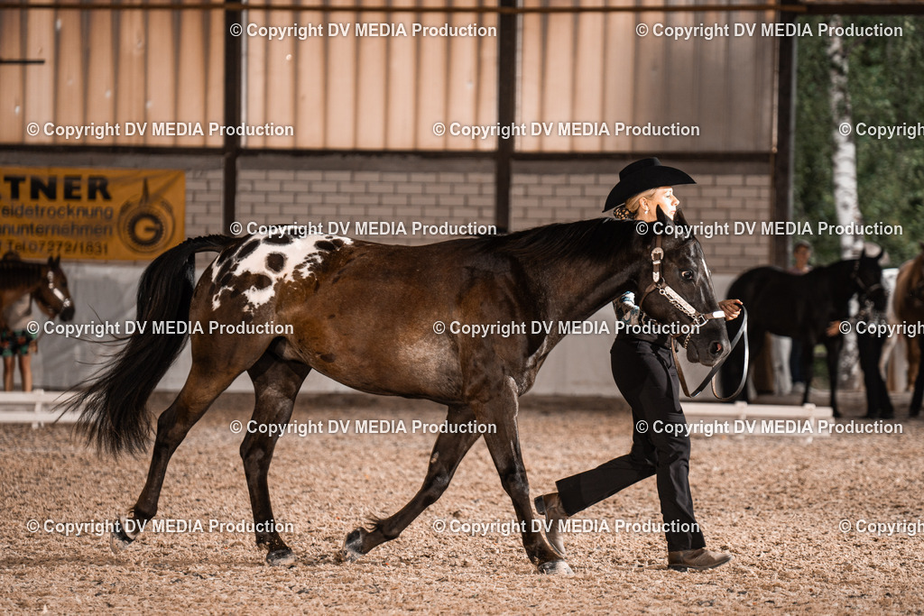 ZH200198 | dv-media-shop - Realisiert mit Pictrs.com