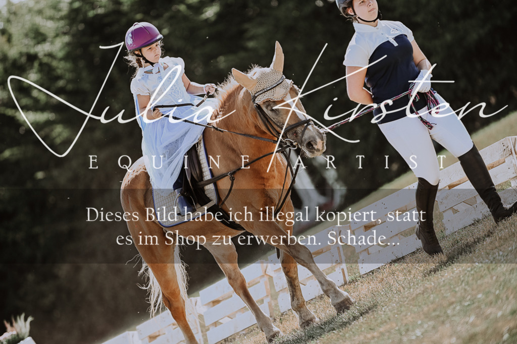 DSC_8920 | Pferde- und Turnierfotografie in Westsachsen. Pferdeportraits, Auftragszeichnungen und intuitive Kunst.