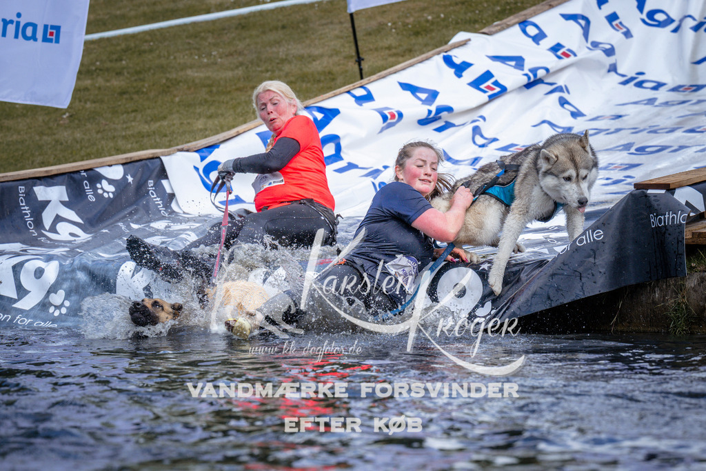 _ZZ911100911 | kk-dogfotos