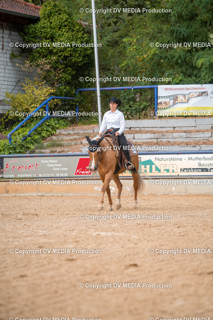 EWP_5639 | dv-media-shop - Realisiert mit Pictrs.com