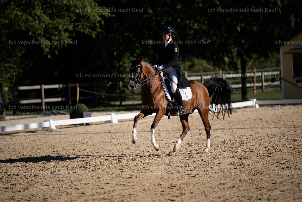 FHC2026_P09_10_11415 | Fichtenhof Classics 2026 – Grand Prix de Dressage - VOLTAIRE Design Preis, Reitanlage Fichtenhof, Sch ftlarn