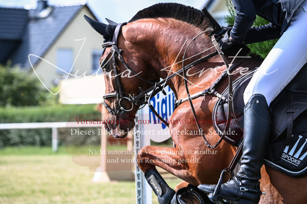 DSC_7912 | Pferde- und Turnierfotografie in Westsachsen. Pferdeportraits, Auftragszeichnungen und intuitive Kunst.