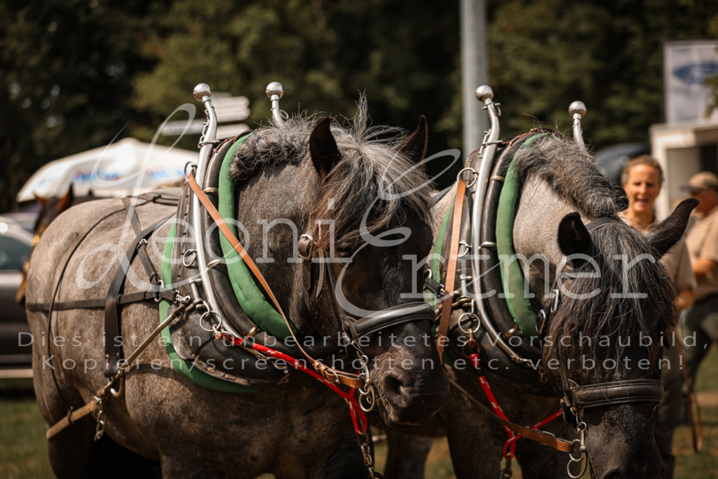 SoShow00242 | Leoni Ertmer Photography - Realisiert mit Pictrs.com