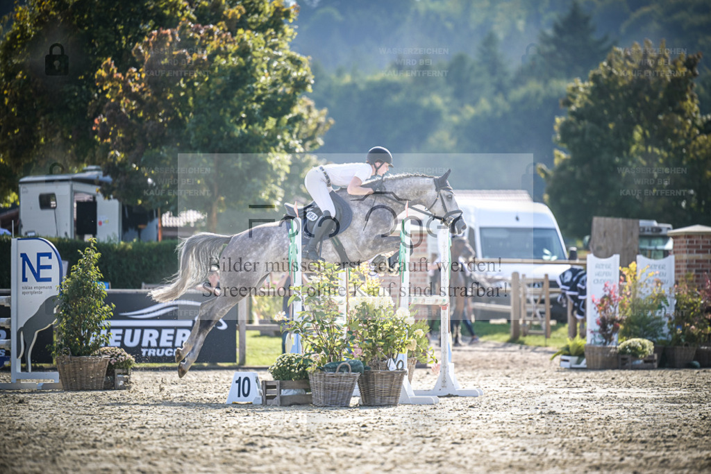 DOS_0228 | Entdecke hochwertige Reitturnierfotos von Foto Oger. Professionell, emotional und authentisch – jetzt Lieblingsmomente im Shop bestellen. - Realisiert mit Pictrs.com