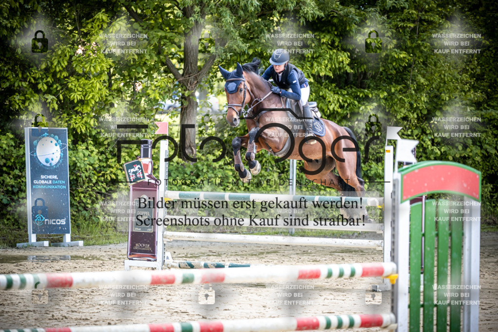 DOS_0912 | Reitturnier Lüdinghausen - Realisiert mit Pictrs.com