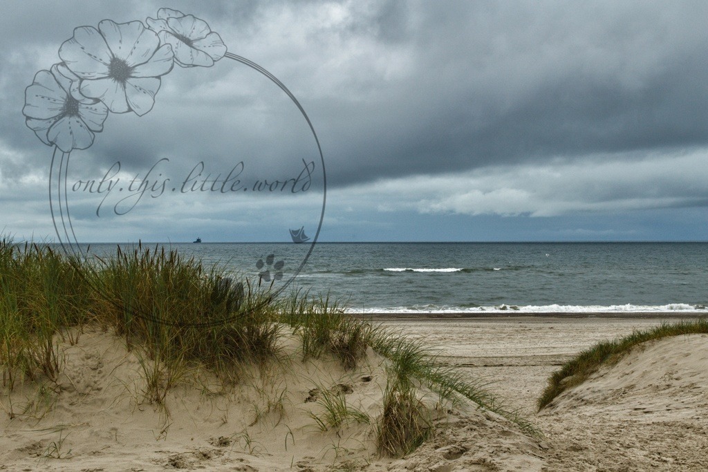 IMG_8554-01 | only.this.little.world - Realisiert mit Pictrs.com