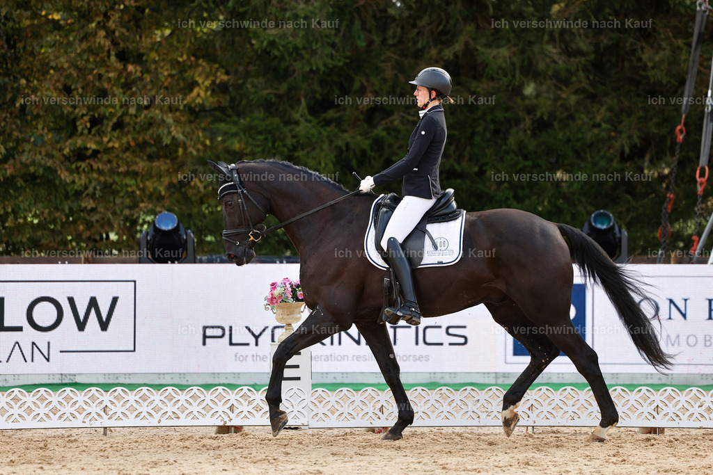 02-108-DRESSUR L_  -StoibPH-4733 | working equitationturnier fotograf videograf stoibphotography marixx film working equitation deutschland reitsport turnierfotografie eventfotografie equestrian events