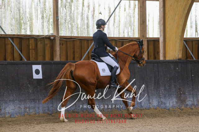 IMG_0270 | Deine Turnierfotos vom Reitturnier online kaufen: Dressur, Springen & Siegerehrung. Professionelle Pferdefotografie aus dem Rheinland – als Download & Print.Alternative: Turnierfotograf für den Pferdesport: Finde deine Fotos von Dressur- und Springturnier