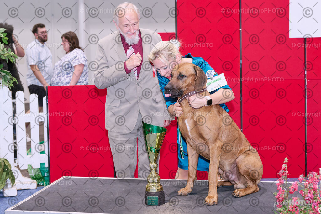 202406_ÖKV-IHA-Tulln24_NZ9_8852 | proPHOTO - Realisiert mit Pictrs.com