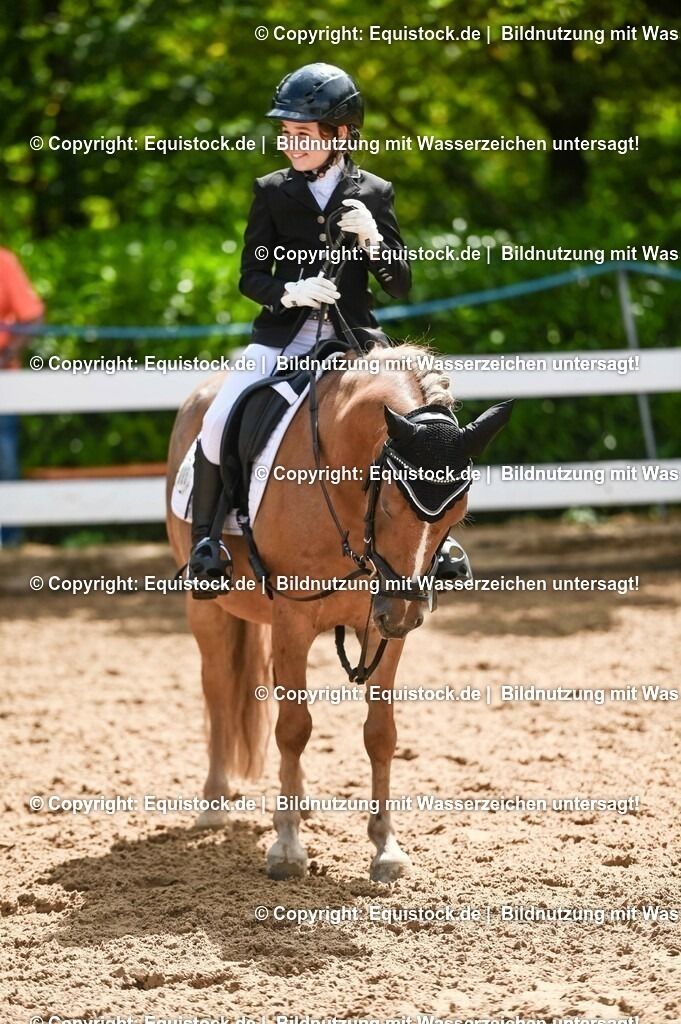 20230716_10-3_Reiter-WB Schritt - Trab - Galopp_0192 | equistock