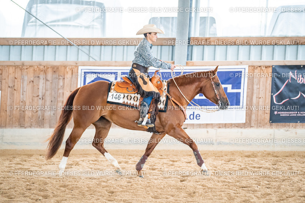 DSC03218 | Pferdegrafie