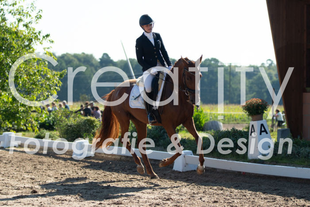 IMG_7643 | Creatify Fotografie