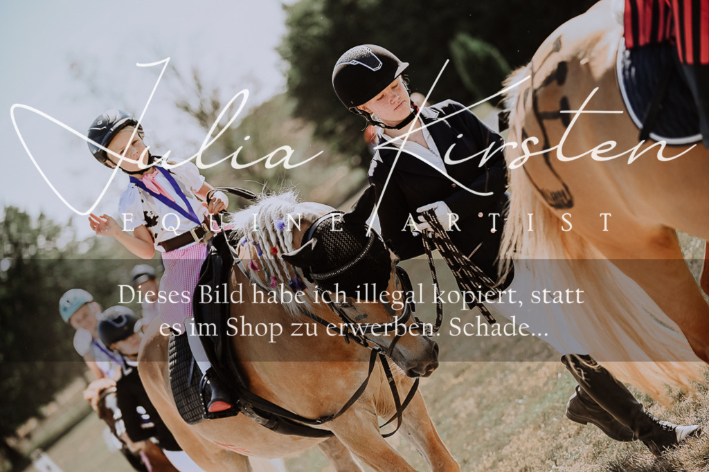 DSC_9077 | Pferde- und Turnierfotografie in Westsachsen. Pferdeportraits, Auftragszeichnungen und intuitive Kunst.