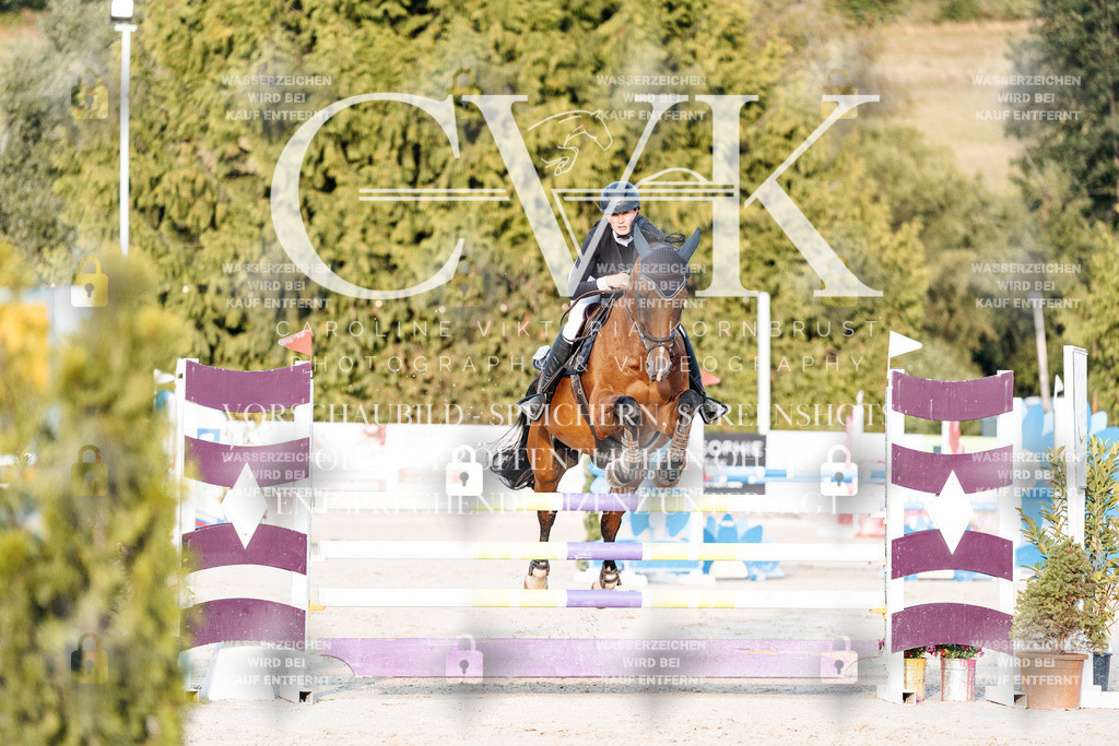 CK900904 | Turnierfotografie Pferdefotografie Trier Rheinland-Pfalz Pferdesport Reitsport Tierfotografie Sportfotografie Pferdevideo Pferdevideografie Equestrianvideography equestrianphotography  - Realisiert mit Pictrs.com