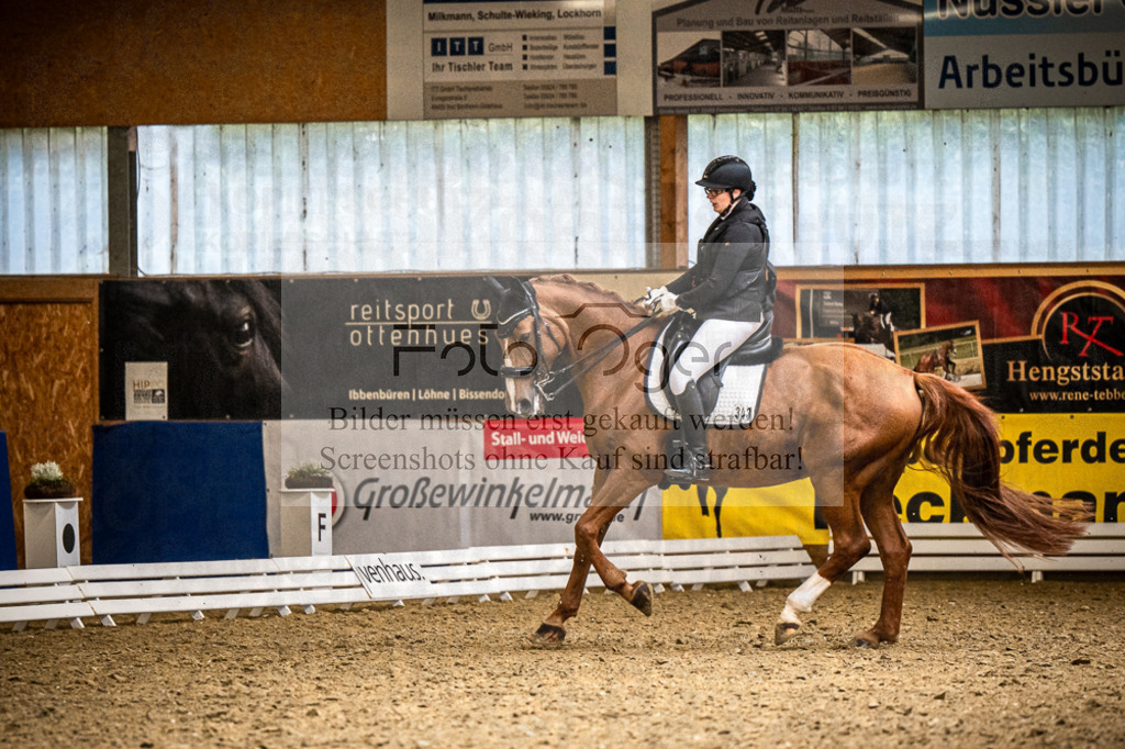 DOS_3838 | Entdecke hochwertige Reitturnierfotos von Foto Oger. Professionell, emotional und authentisch – jetzt Lieblingsmomente im Shop bestellen.Deutschlandweite Turnierfotografie. - Realisiert mit Pictrs.com