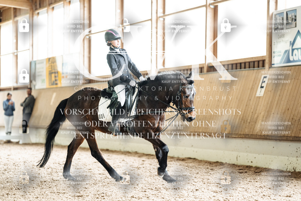 CK901314 | Turnierfotografie Pferdefotografie Trier Rheinland-Pfalz Pferdesport Reitsport Tierfotografie Sportfotografie Pferdevideo Pferdevideografie Equestrianvideography equestrianphotography  - Realisiert mit Pictrs.com