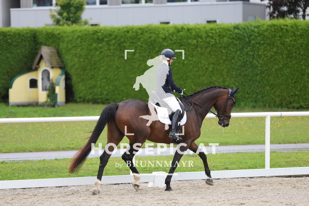 0P6A8745 | Willkommen bei Brunnmayr - Design & Fotografie – Ihrem Spezialisten für Reitturniere und Pferdeveranstaltungen in Oberösterreich, Salzburg und Bayern! Seit über 17 Jahren sind wir leidenschaftlich dabei.