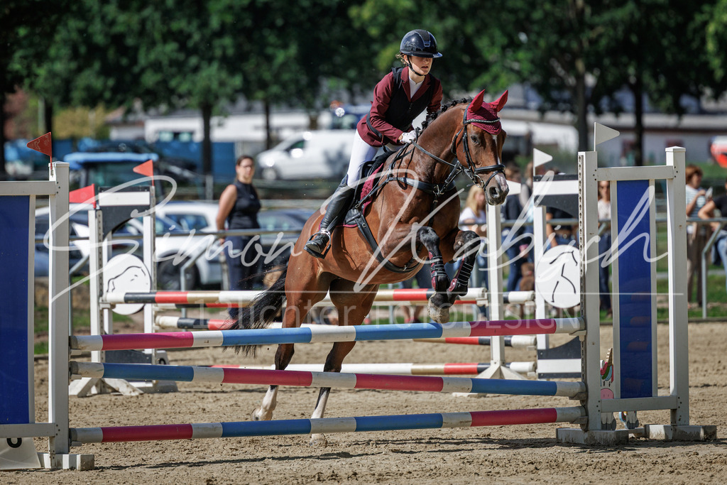 20260905-_3LI8755 | Tierfotografie Pferde, Hunde, Katzen, Haustiere.
Turnierfotografie Reitturniere, Reiten, Springreiten, Dressur in Hanau, dem Main-Kinzig-Kreis und dem Rhein-Main- Gebiet um Frankfurt