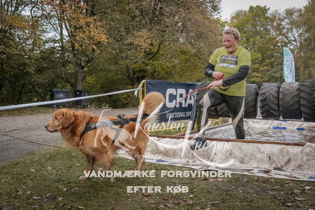 1629_ZZ93517 | kk-dogfotos