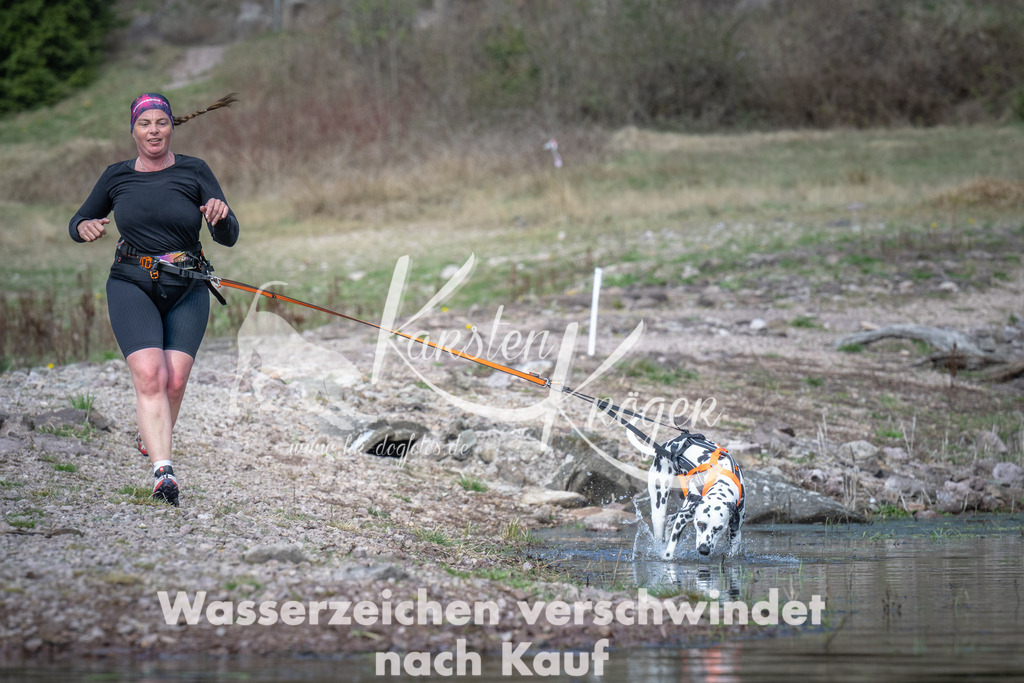 1100_ZZ92534 | kk-dogfotos