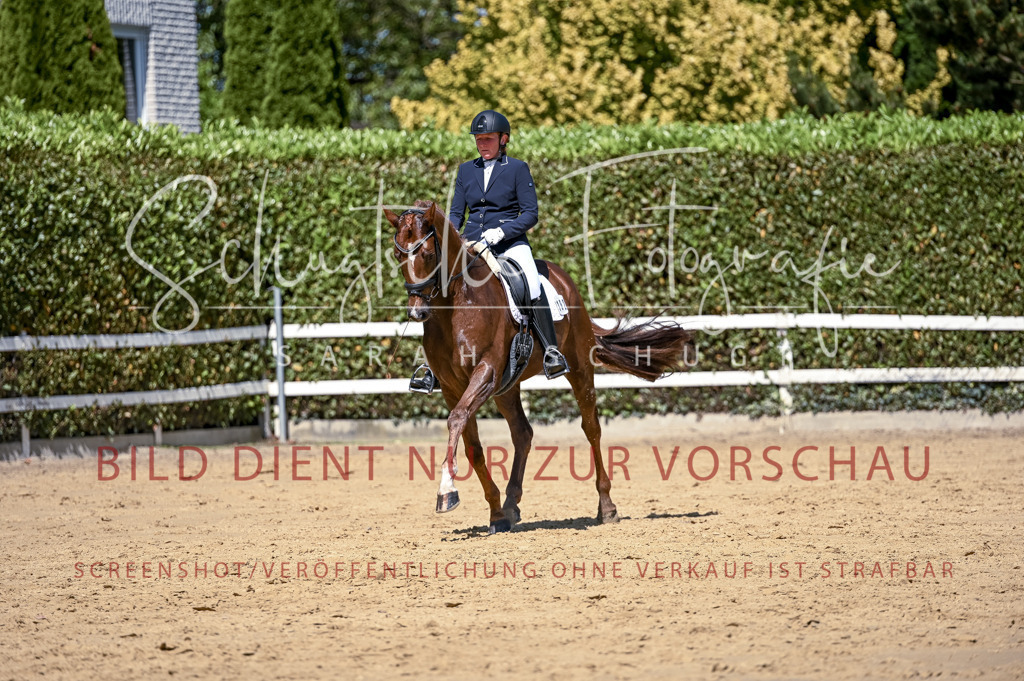 Schugtsche-Aluta25-49.Dressurpferdeprf.A-373 | Schugtsche Fotografie - Realisiert mit Pictrs.com