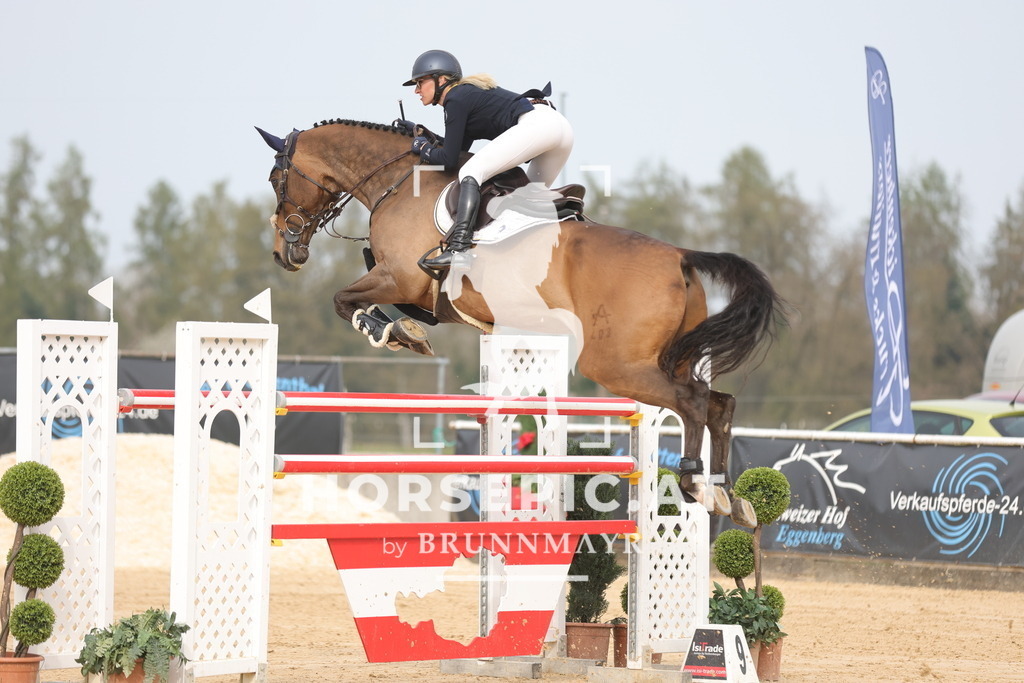 0P6A7222 | Willkommen bei Brunnmayr - Design & Fotografie – Ihrem Spezialisten für Reitturniere und Pferdeveranstaltungen in Oberösterreich, Salzburg und Bayern! Seit über 17 Jahren sind wir leidenschaftlich dabei.