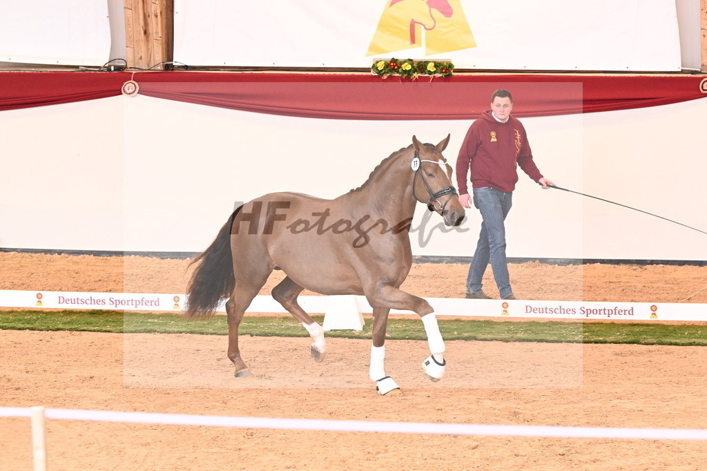 Kat.-Nr. 77 v. Vaderland_Schafhof_2240990 | hf-fotografie - Realizzato con Pictrs.com