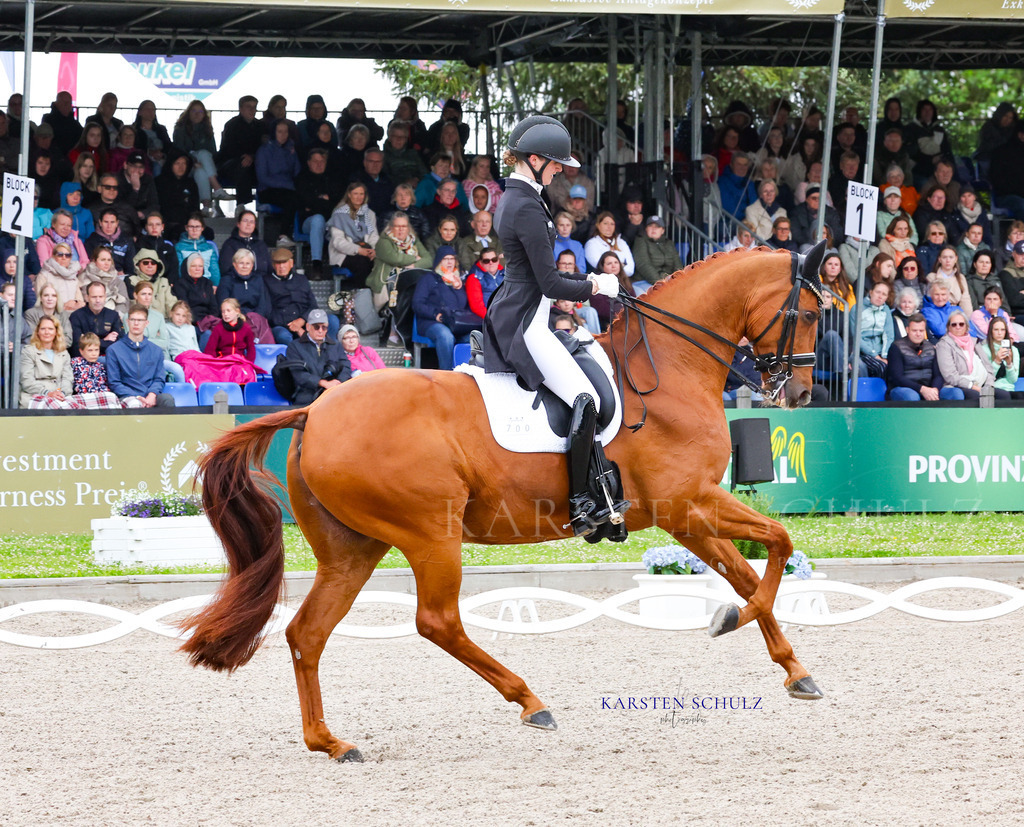 1B3A8546 | Reitsport Reiten