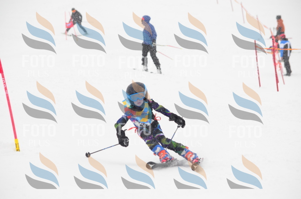 C0700 | holidayphoto