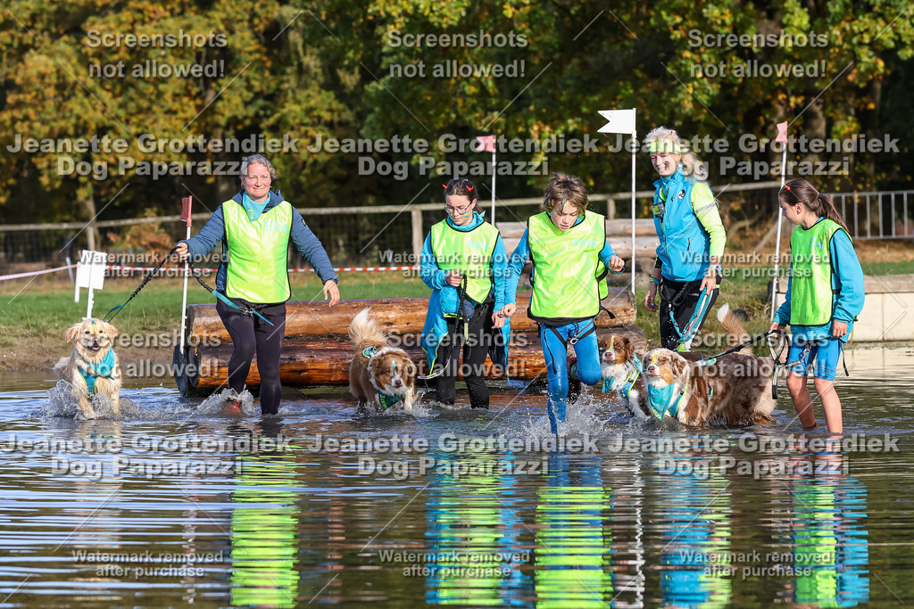 Dog Paparazzi - Strongdog 10-25-8478 | Dog Paparazzi Jeanette Grottendiek Fotografie & Videografie - Realisiert mit Pictrs.com