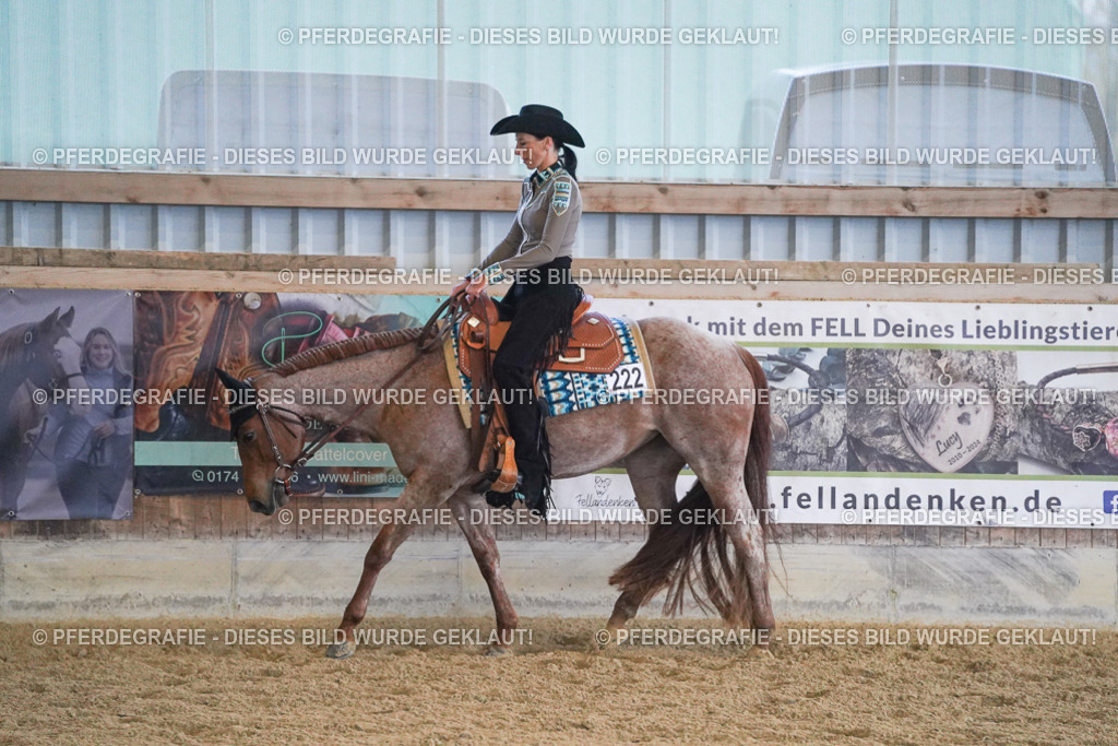 DSC08942 | Pferdegrafie