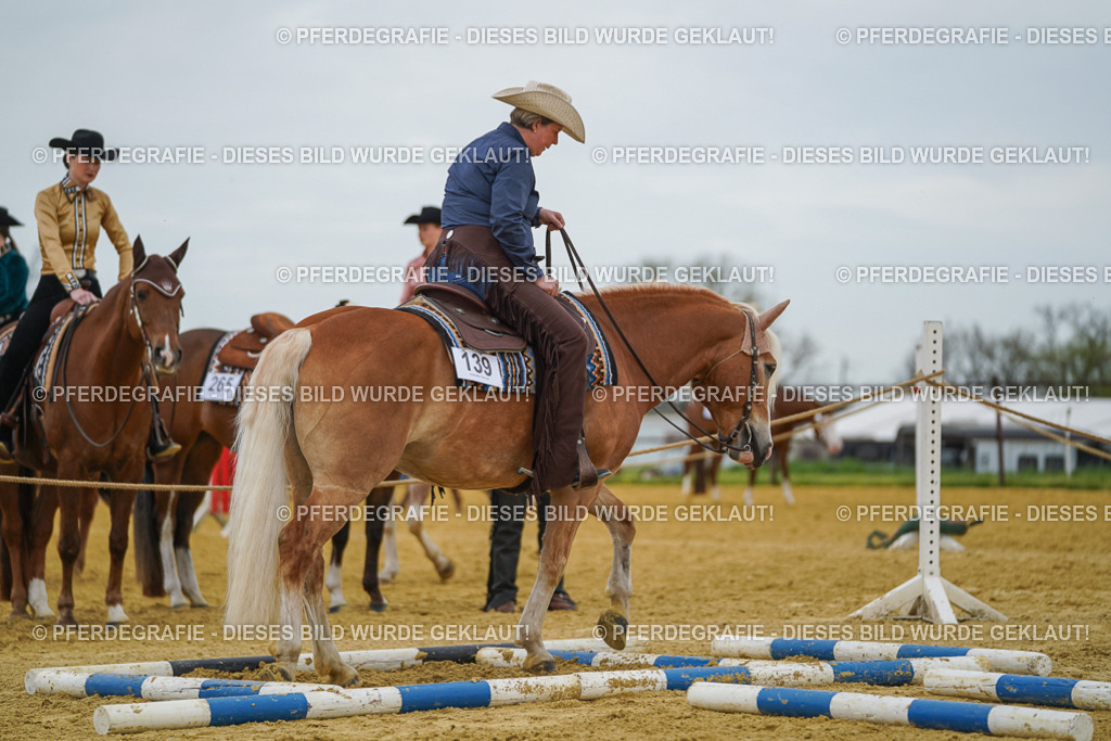 DSC02737 | Pferdegrafie