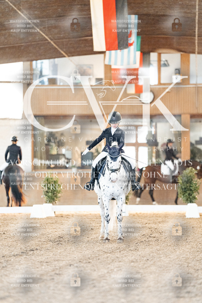 CK906445 | Turnierfotografie Pferdefotografie Trier Rheinland-Pfalz Pferdesport Reitsport Tierfotografie Sportfotografie Pferdevideo Pferdevideografie Equestrianvideography equestrianphotography  - Realisiert mit Pictrs.com