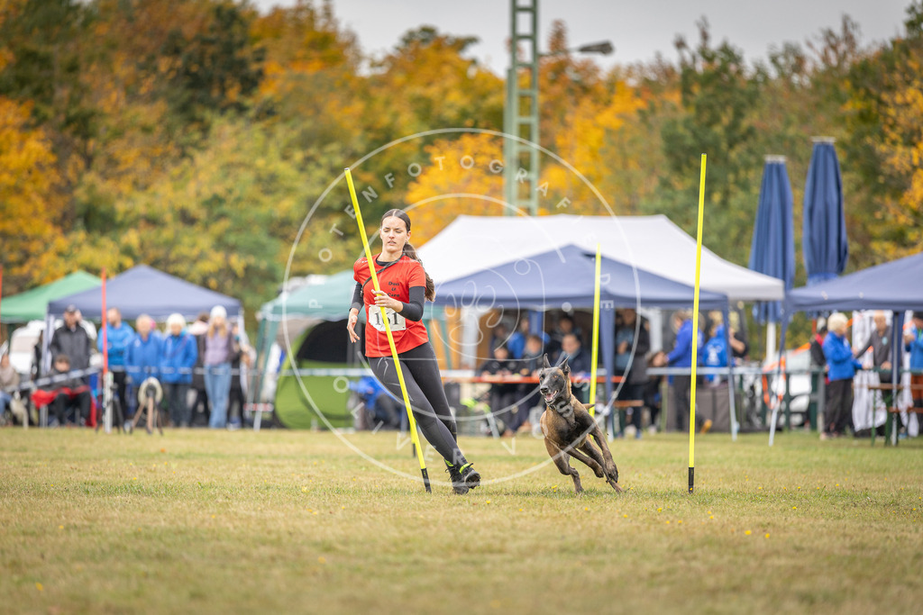 Pfotenfotografie_DV3A5204 | Hundefotografie, Tierfotograf, Pfotenfotografie, Fotoshooting Hund, Hunde Portrait, Hundesport, Hundeportraits, Heideshooting, Hunde, Sportfotograf, Hundefotograf, Turnierhundsport, THS,  - Realisiert mit Pictrs.com