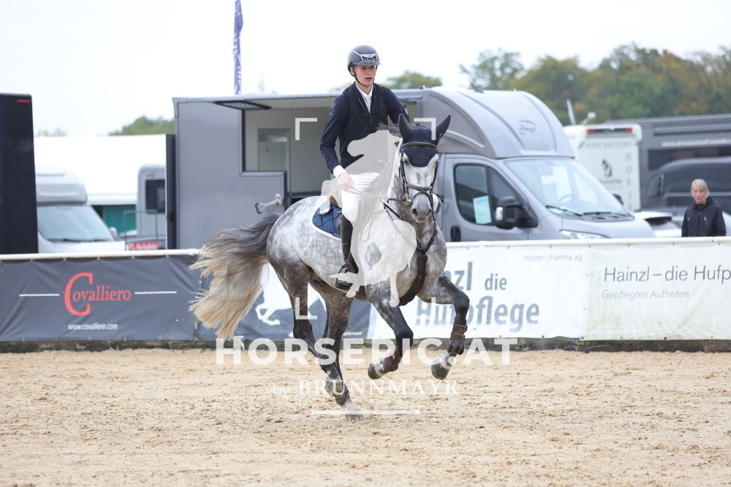 0P6A7162 | Willkommen bei Brunnmayr - Design & Fotografie – Ihrem Spezialisten für Reitturniere und Pferdeveranstaltungen in Oberösterreich, Salzburg und Bayern! Seit über 17 Jahren sind wir leidenschaftlich dabei.