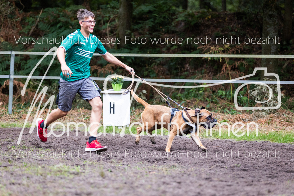 HB-JaD-064 | MomenTaufnahmen Pferdesportfotos