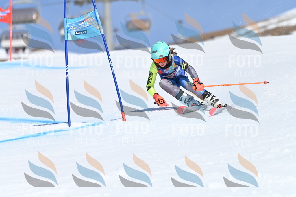 BGV_9471 | holidayphoto