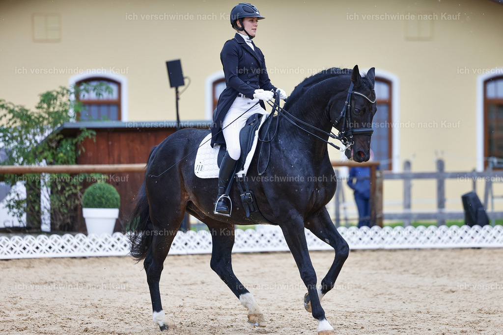 8_1-118-Klasse S_  -StoibPH-3903 | working equitationturnier fotograf videograf stoibphotography marixx film working equitation deutschland reitsport turnierfotografie eventfotografie equestrian events