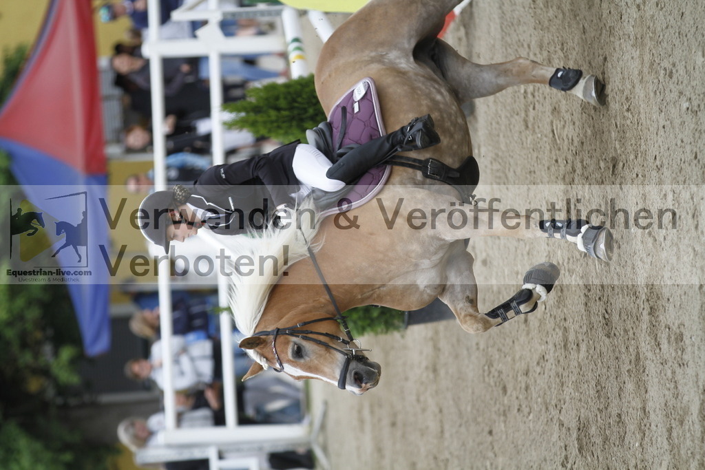 _MG_1111 | equestrian-live-com