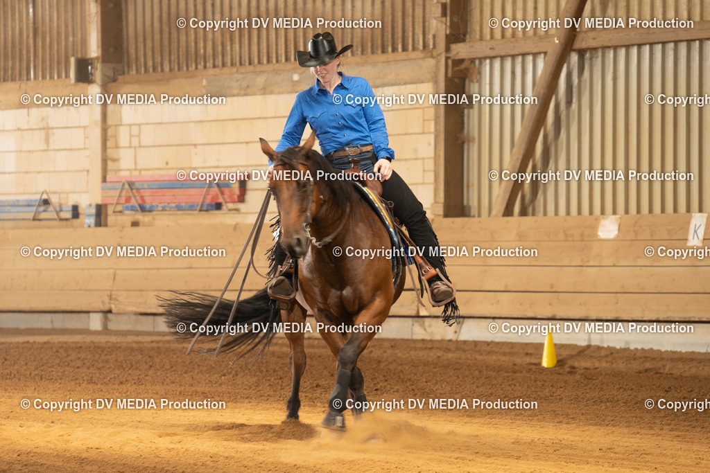 NID01908 | dv-media-shop - Realisiert mit Pictrs.com