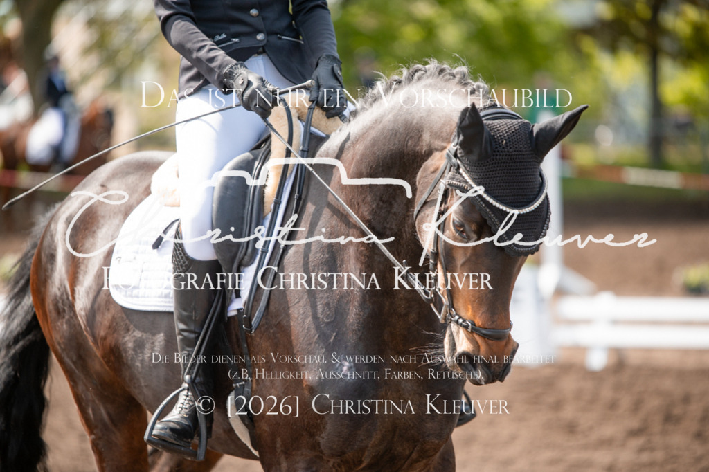 DSC_3893 | Christina-Kleuver