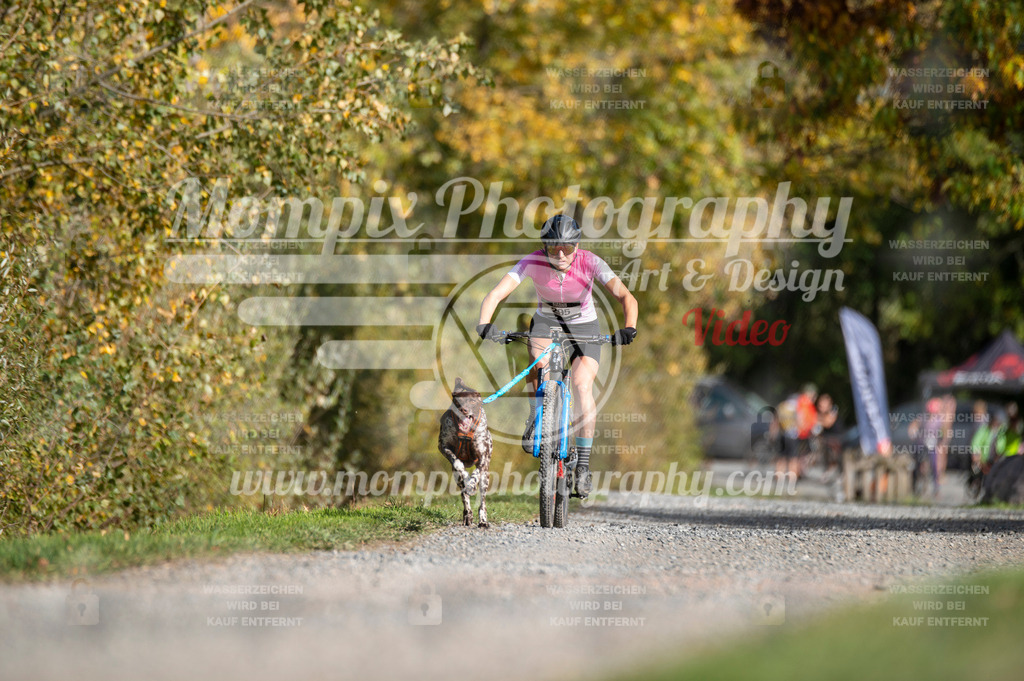 TSB_2023_E2_Bike-20 | PayLife