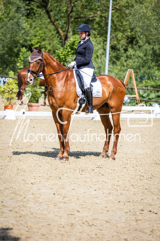 Donop24-L-Dre-058 | MomenTaufnahmen Pferdesportfotos