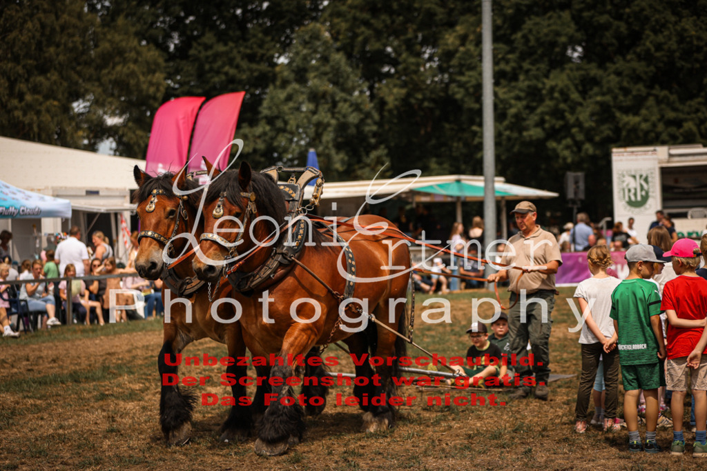 SoShow00249 | Leoni Ertmer Photography - Realisiert mit Pictrs.com