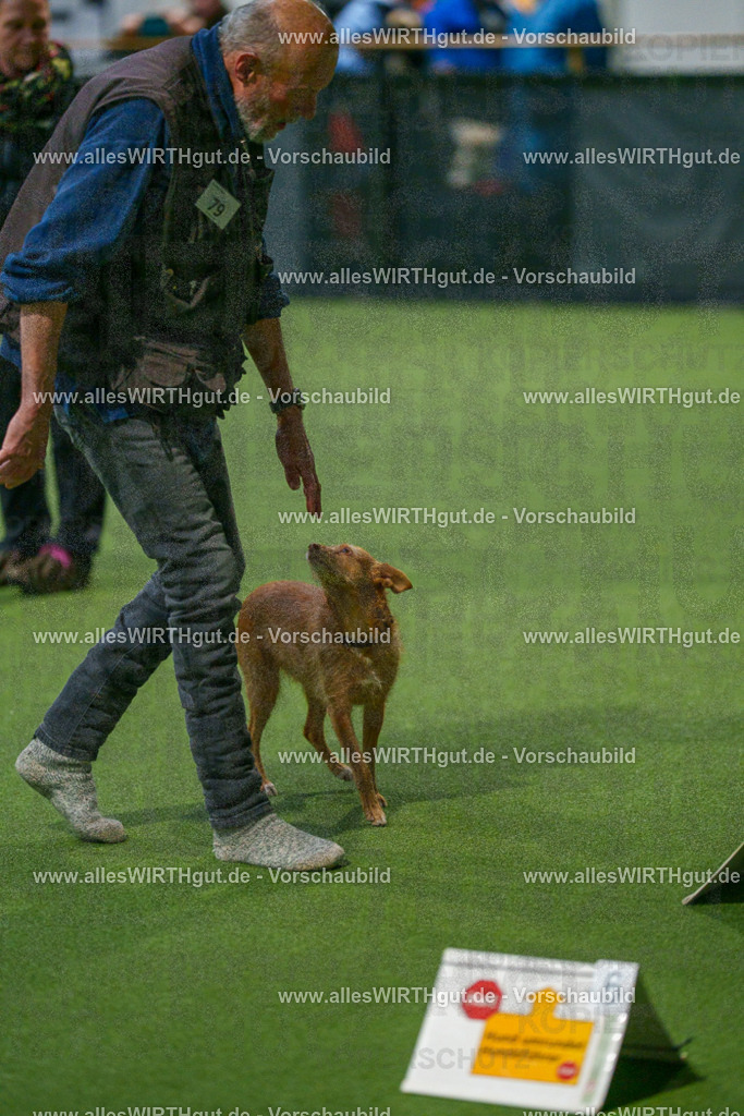 7R507603 | Professionelle Tierfotografie in Mönchengladbach von Daniel Wirth (allesWIRTHgut). Liebevolle & natürliche Bilder von Hunden & Katzen für unvergessliche Erinnerungen.