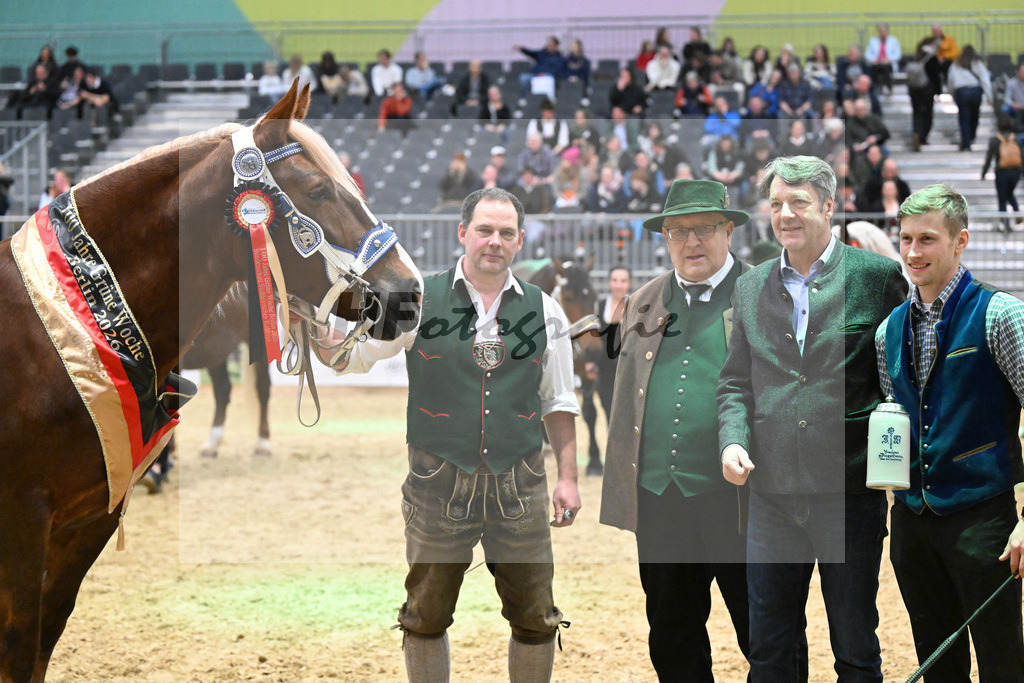 Kat-Nr. 33 Finesse G v. Schmauzenberg_Grandauer_1260709 | hf-fotografie - Realisiert mit Pictrs.com