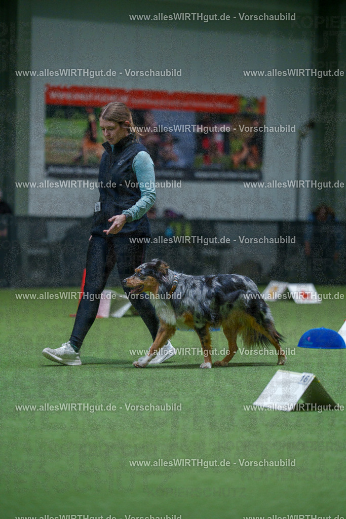 7R503112 | Professionelle Tierfotografie in Mönchengladbach von Daniel Wirth (allesWIRTHgut). Liebevolle & natürliche Bilder von Hunden & Katzen für unvergessliche Erinnerungen.