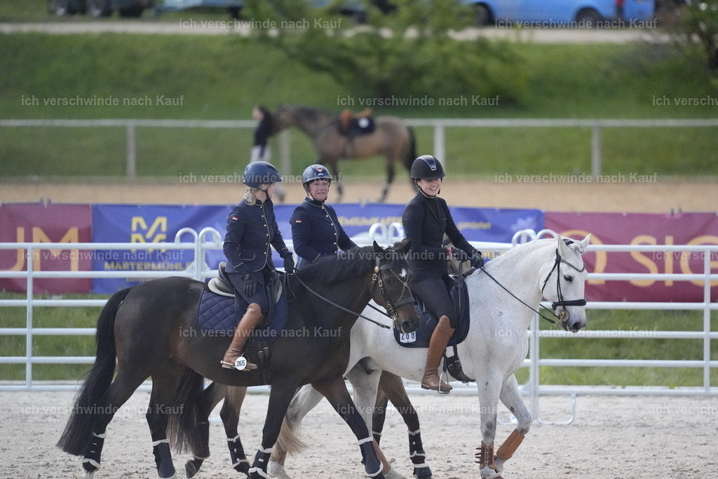 PI26_COW_Stoibphotography_DSC5317.JPG | working equitationturnier fotograf videograf stoibphotography marixx film working equitation deutschland reitsport turnierfotografie eventfotografie equestrian events
