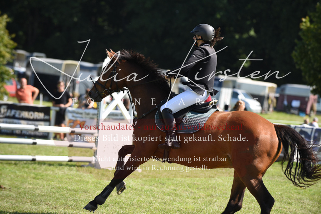 DSC_9337 | Pferde- und Turnierfotografie in Westsachsen. Pferdeportraits, Auftragszeichnungen und intuitive Kunst.