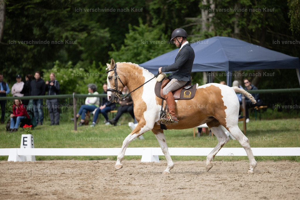 Masterclass_stoibphotography_C2_L5263.CR3 | working equitationturnier fotograf videograf stoibphotography marixx film working equitation deutschland reitsport turnierfotografie eventfotografie equestrian events